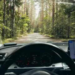 Widok z wnętrza samochodu na leśną drogę. Kierowca busa zastanawia się, ile zarabia, jadąc przez malowniczy las.