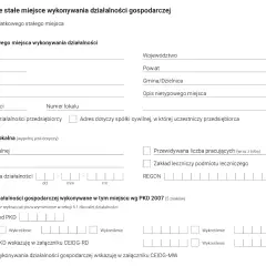 Formularz CEIDG: sekcja 8. Dodatkowe stałe miejsce wykonywania działalności gospodarczej, w tym usługa kierowania pojazdem powierzonym PKD.