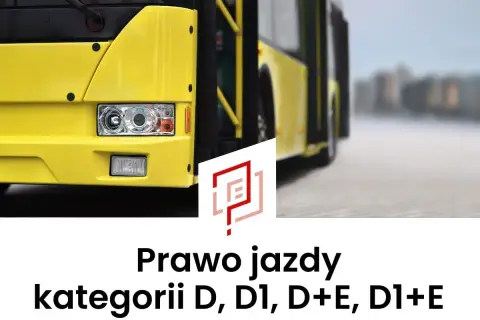 Prawo jazdy kategorii D, D1, D+E, D1+E – żółty autobus na drodze.
