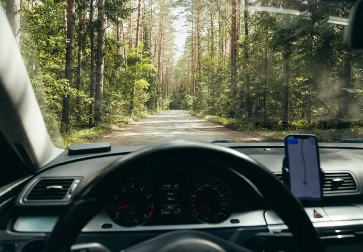 Widok z wnętrza samochodu na leśną drogę. Kierowca busa zastanawia się, ile zarabia, jadąc przez malowniczy las.