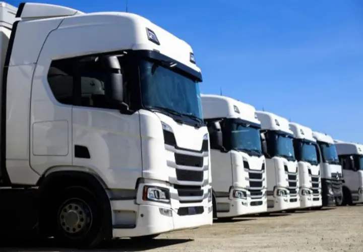 Białe ciężarówki stojące w rzędzie pod błękitnym niebem. Idealny widok dla tych, którzy zastanawiają się, jak założyć firmę transportową.