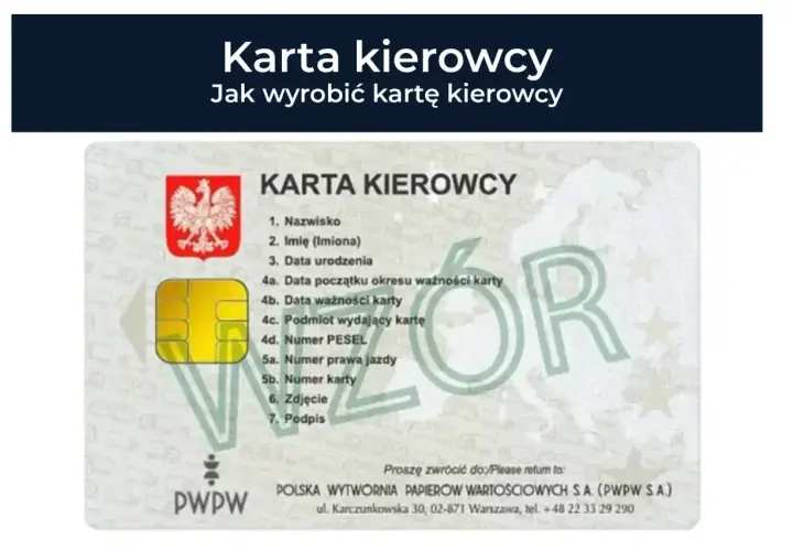 Karta kierowcy straciła ważność? Sprawdź, czy można jeździć. Widok karty kierowcy z danymi i datą ważności.