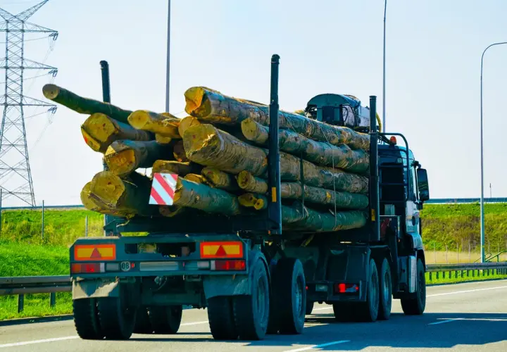 Ciężarówka z drewnem na przyczepie, widoczne tablice gabarytowe.