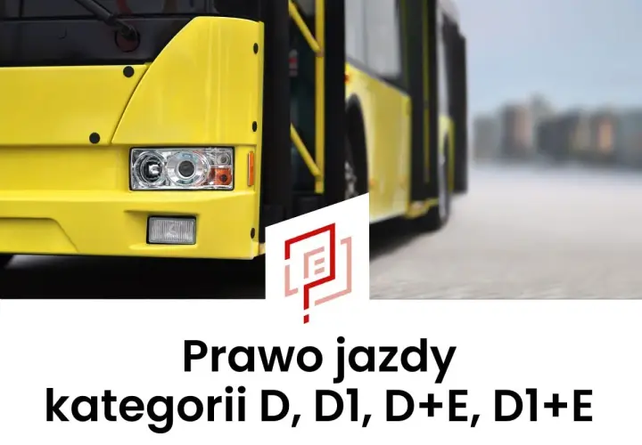 Prawo jazdy kategorii D, D1, D+E, D1+E – żółty autobus na drodze.