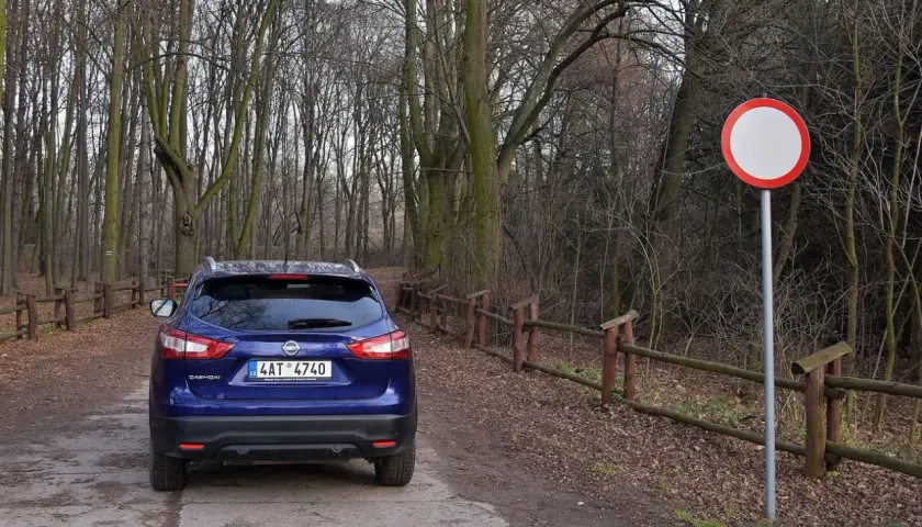 Niebieski Nissan na leśnej drodze, obok znak zakazu ruchu. Kierowca ryzykował wjazd pod zakaz ruchu, mandat murowany.