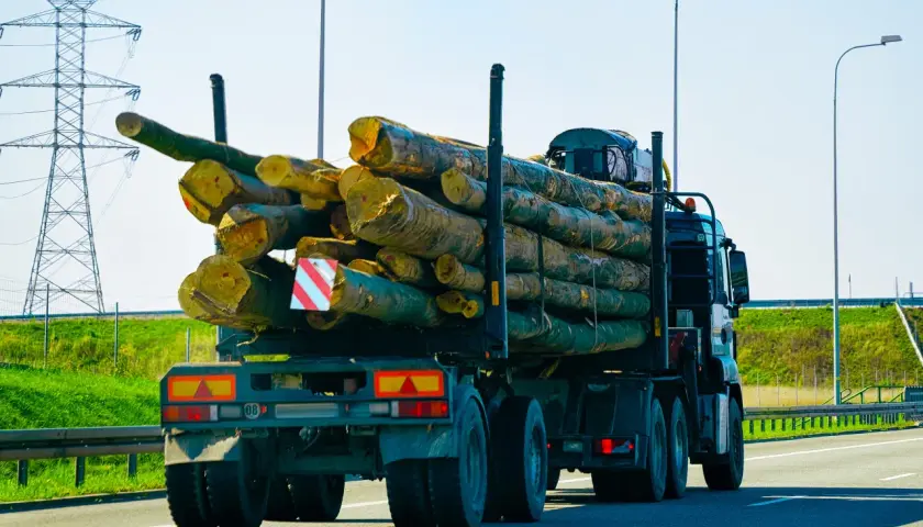 Ciężarówka z drewnem na przyczepie, widoczne tablice gabarytowe.