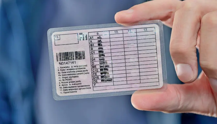Dłoń trzyma polskie prawo jazdy. Widoczna jest data ważności uprawnienia, co pokazuje, ile jest ważne prawo jazdy.