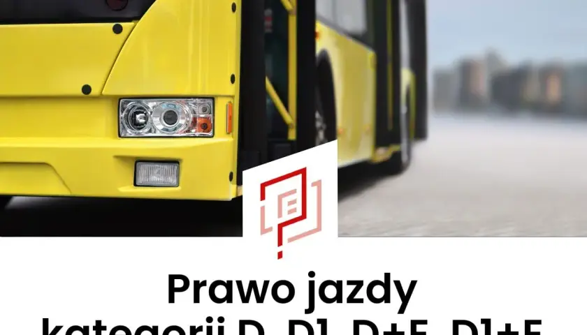 Prawo jazdy kategorii D, D1, D+E, D1+E – żółty autobus na drodze.