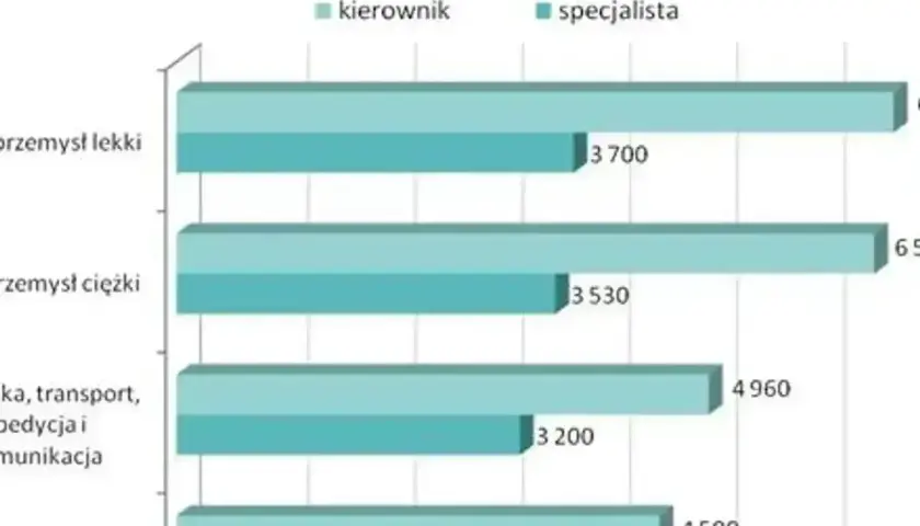 Zarobki w logistyce: kierownik zarabia więcej niż specjalista w handlu, przemyśle lekkim i ciężkim.