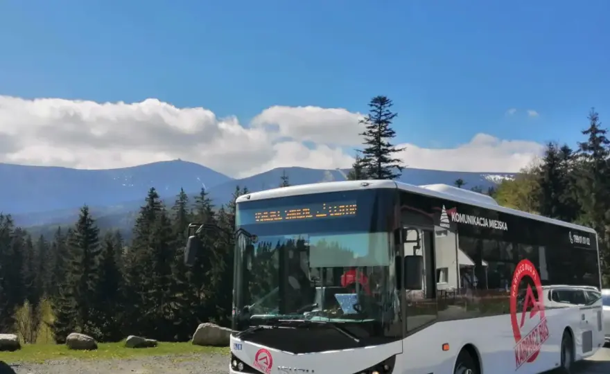Transport busem - kiedy się opłaca i na co uważać?