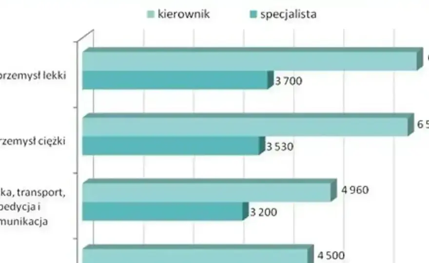 Ile zarabia firma transportowa? Realne widełki i koszty