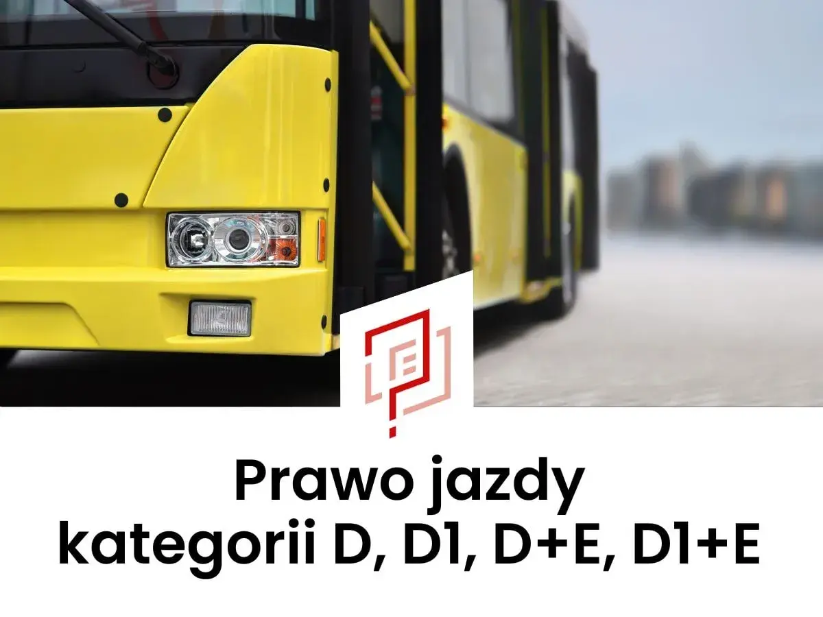 Prawo jazdy kategorii D, D1, D+E, D1+E – żółty autobus na drodze.