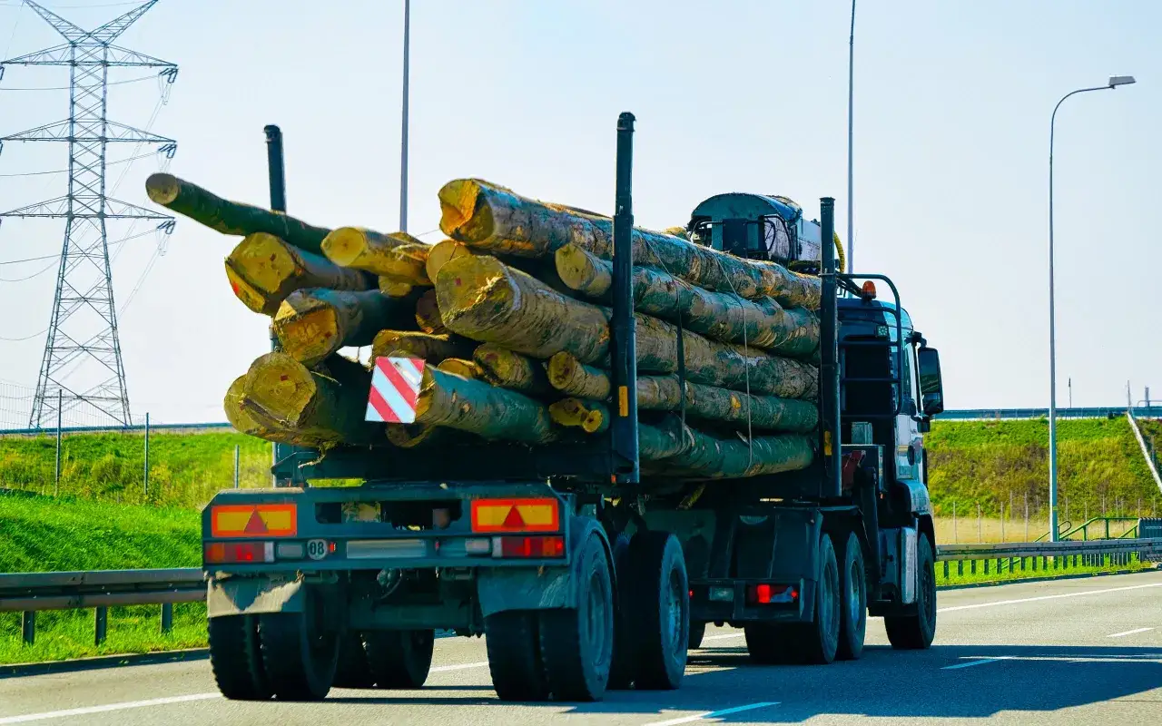 Ciężar&oacute;wka z drewnem, art 61 prd, jedzie autostradą obok wieży energetycznej.