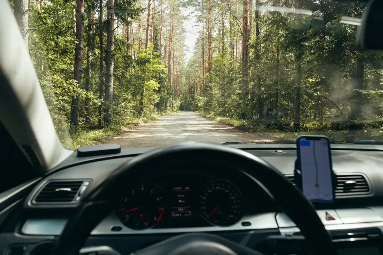 Widok z wnętrza samochodu na leśną drogę. Kierowca busa zastanawia się, ile zarabia, jadąc przez piękny las.